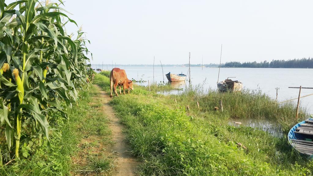 Riverside Hamlet Homestay & Villa Hoi An Zewnętrze zdjęcie